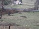 Rockley NSW 2795