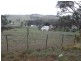 Rockley NSW 2795