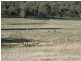 Bathurst NSW 2795