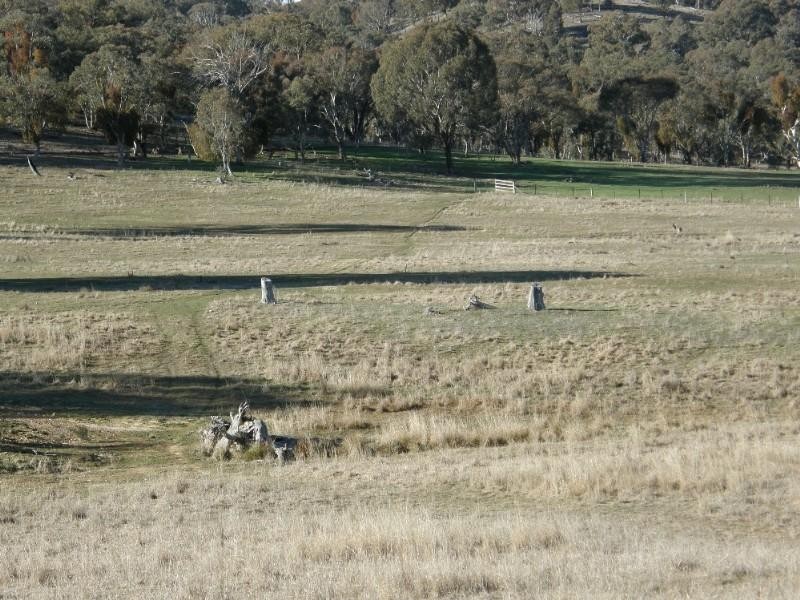 Bathurst NSW 2795