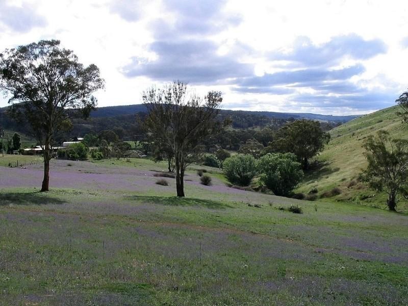 Wisemans Creek NSW 2795