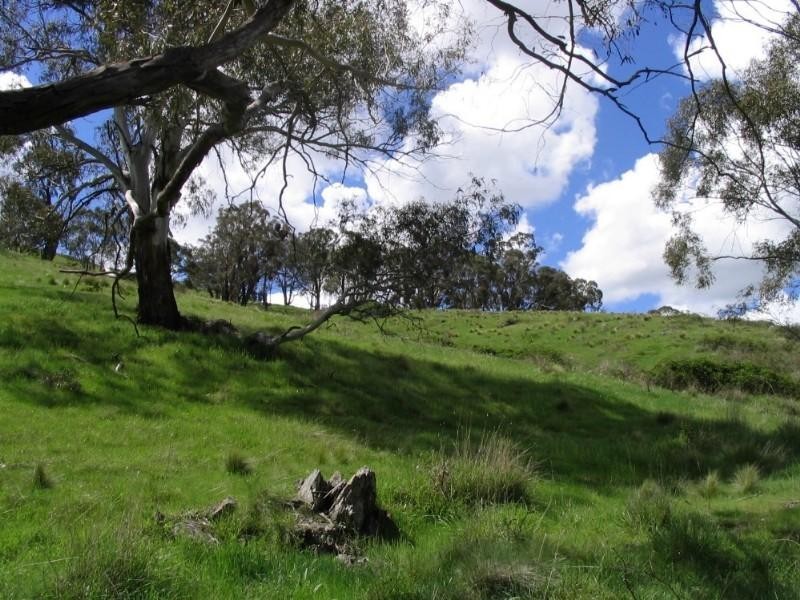 Wisemans Creek NSW 2795