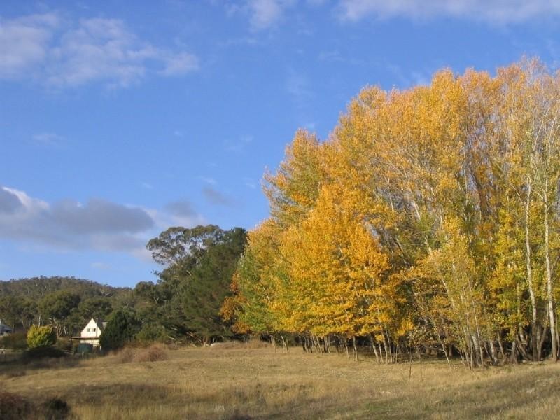 Wisemans Creek NSW 2795