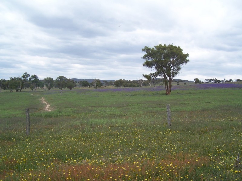 Bathurst NSW 2795
