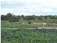Bathurst NSW 2795