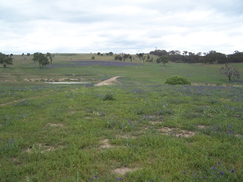 Bathurst NSW 2795