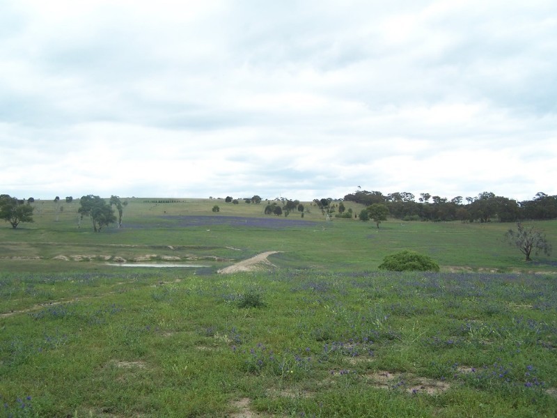 Bathurst NSW 2795