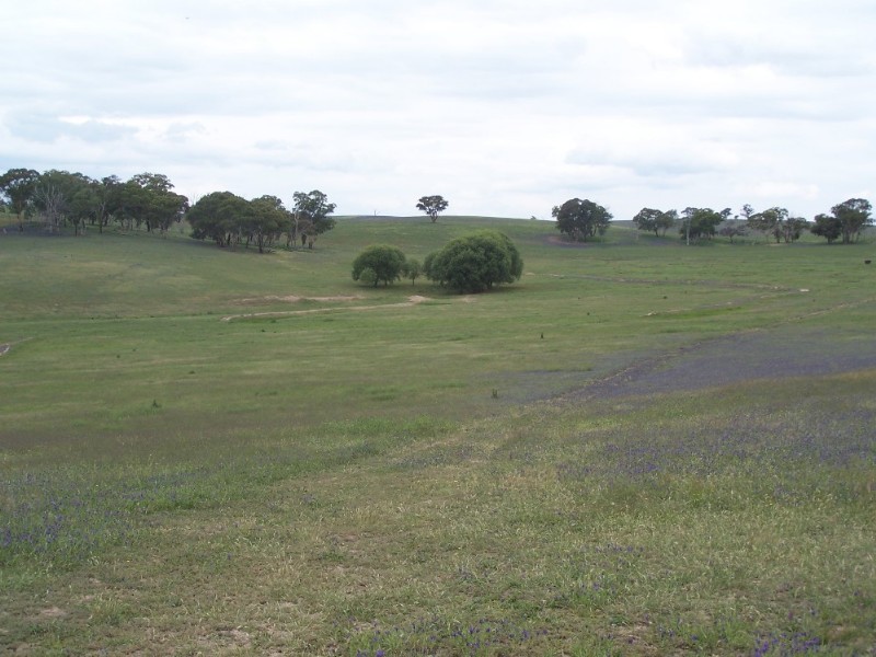 Bathurst NSW 2795