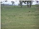 Bathurst NSW 2795