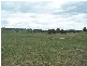Bathurst NSW 2795