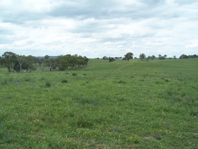 Bathurst NSW 2795
