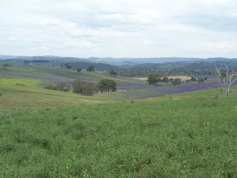 Bathurst NSW 2795