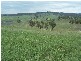 Bathurst NSW 2795