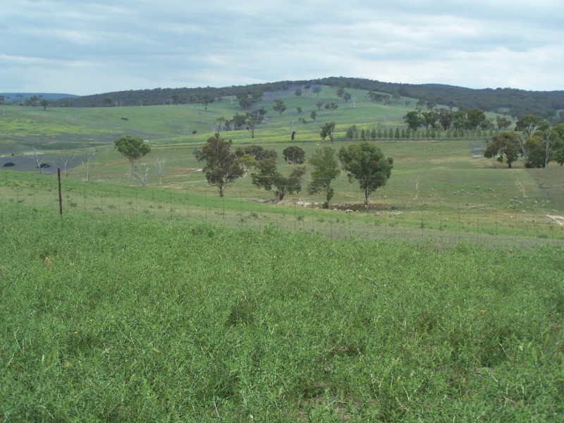 Bathurst NSW 2795