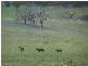 Bathurst NSW 2795