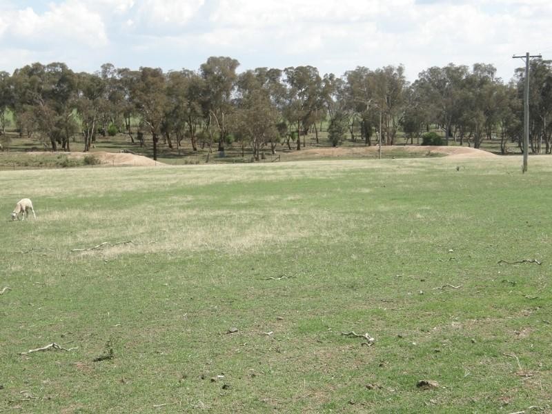 Bathurst NSW 2795