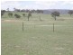 Bathurst NSW 2795