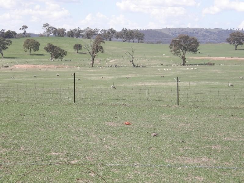 Bathurst NSW 2795