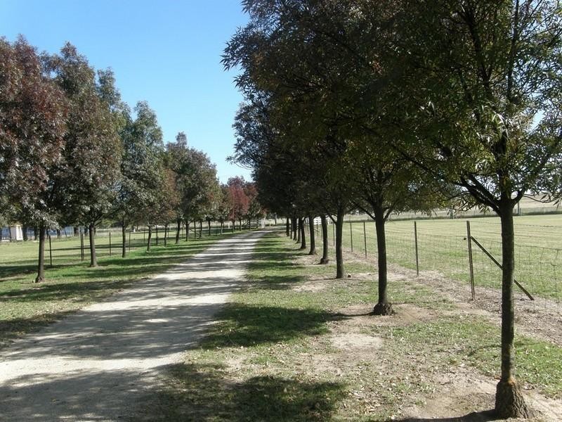 Bathurst NSW 2795