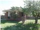 Eglinton NSW 2795
