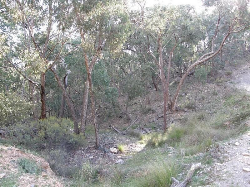 Bathurst NSW 2795