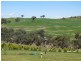 Bathurst NSW 2795