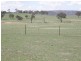 Bathurst NSW 2795