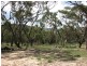 Meadow Flat NSW 2795