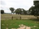 Meadow Flat NSW 2795