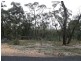 Meadow Flat NSW 2795
