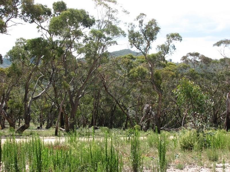 Meadow Flat NSW 2795