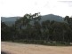 Meadow Flat NSW 2795