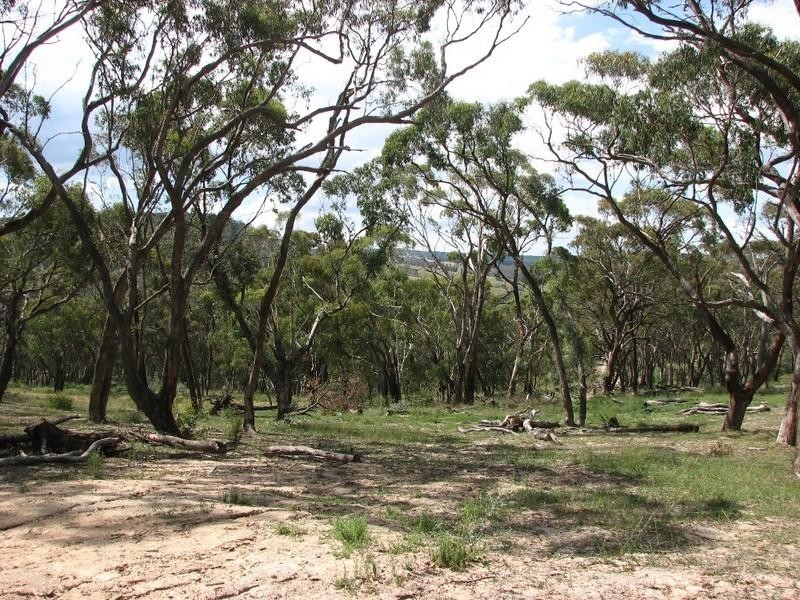 Meadow Flat NSW 2795