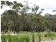 Meadow Flat NSW 2795