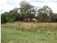 Meadow Flat NSW 2795