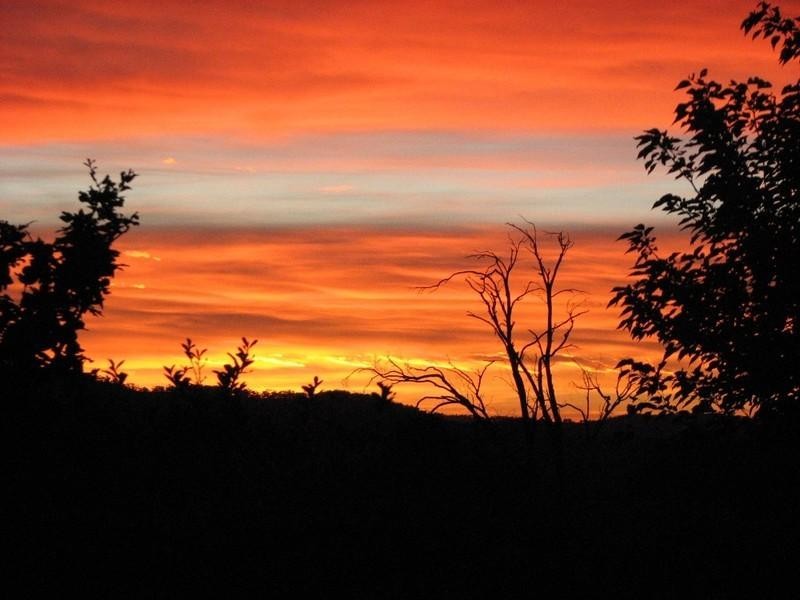 Meadow Flat NSW 2795