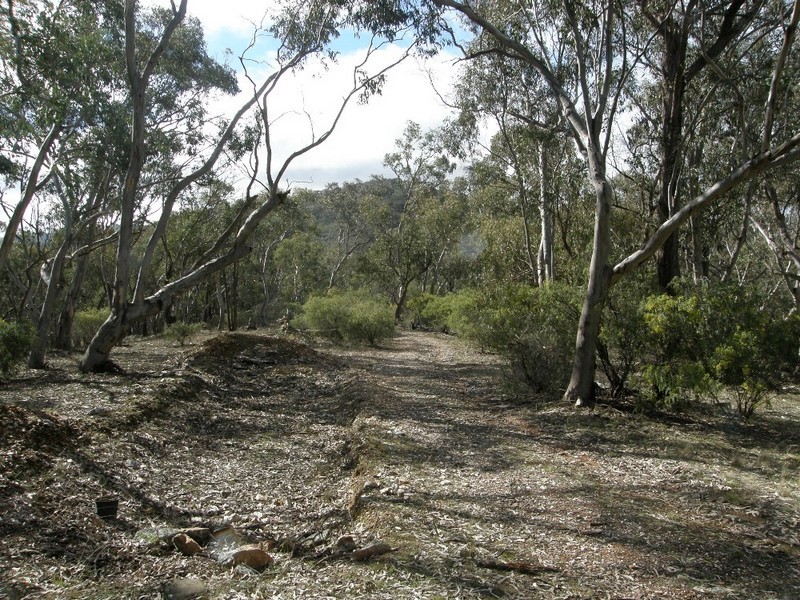 Sofala NSW 2795