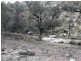 Sofala NSW 2795