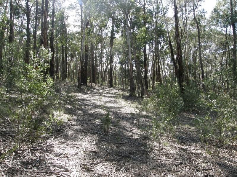 Yetholme NSW 2795