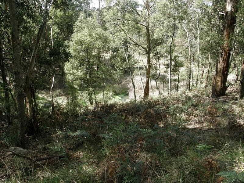 Yetholme NSW 2795