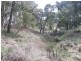 Yetholme NSW 2795