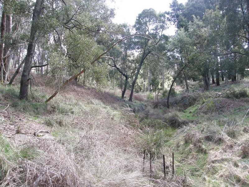 Yetholme NSW 2795