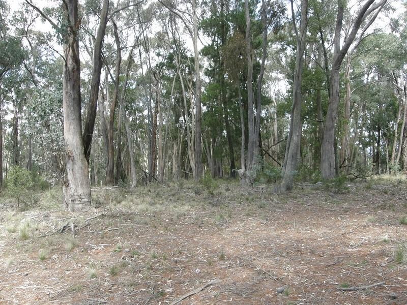 Yetholme NSW 2795