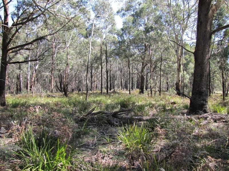 Yetholme NSW 2795