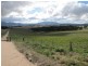 Tarana NSW 2787