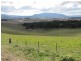Tarana NSW 2787