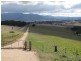 Tarana NSW 2787