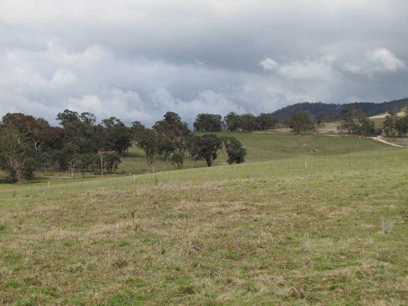 Tarana NSW 2787