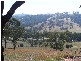Bathurst NSW 2795