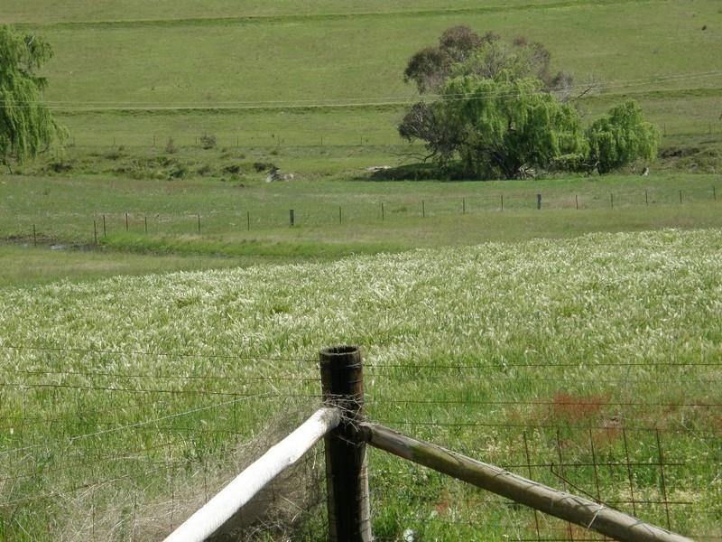 55 Mt Rankin Road, Bathurst NSW 2795